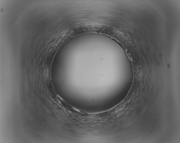 X0000065241061200603031733