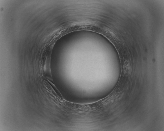 X0000065241062200603031733