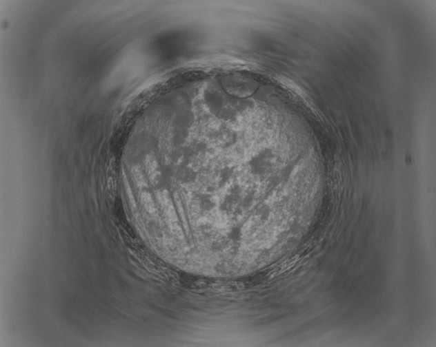 X0000065241063200603031733