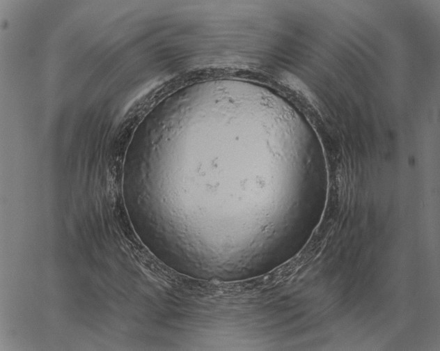 X0000065241064200603031733