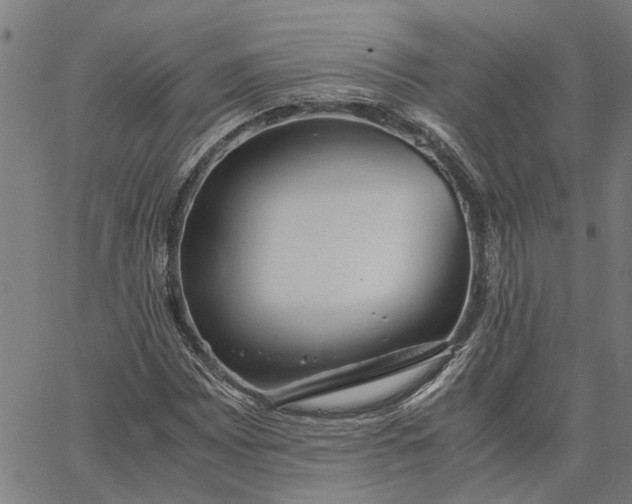 X0000065241065200603031733