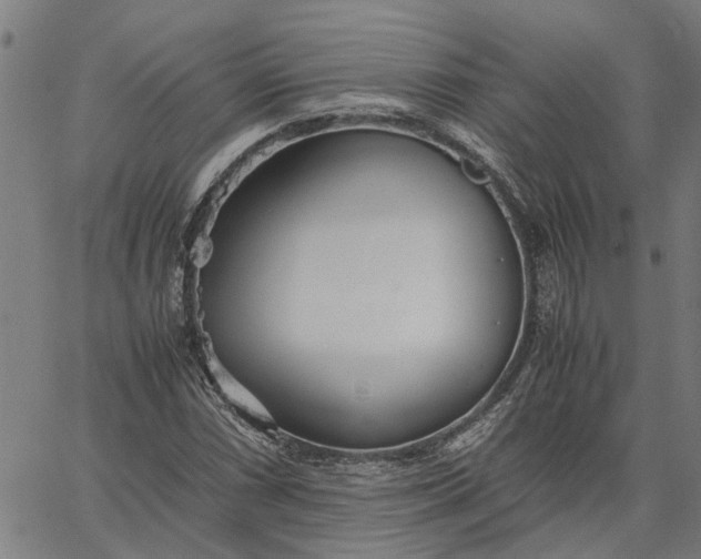 X0000065241066200603031733