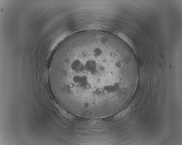 X0000065241067200603031733