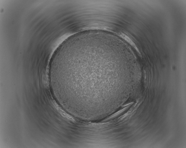 X0000065241068200603031733