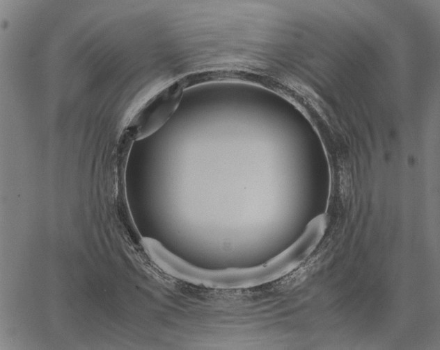 X0000065241069200603031733