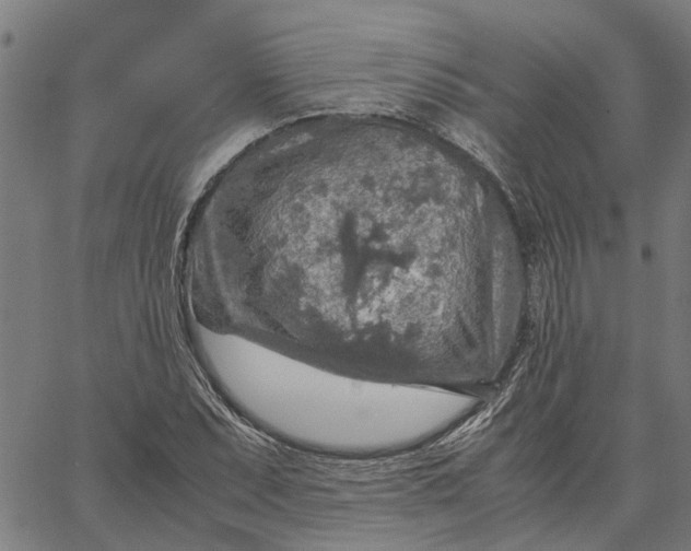 X0000065241071200603031733