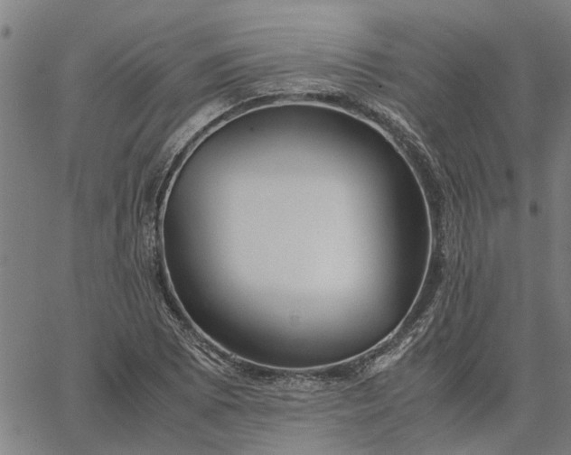 X0000065241073200603031732