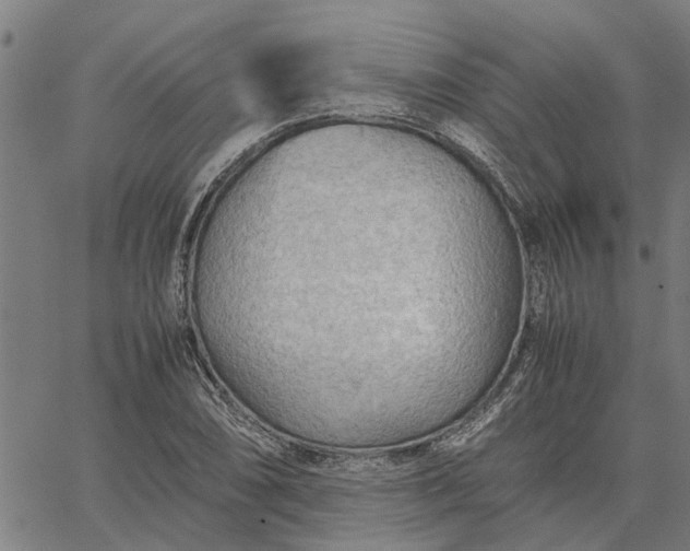 X0000065241074200603031732