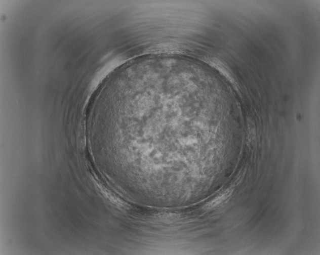 X0000065241075200603031732