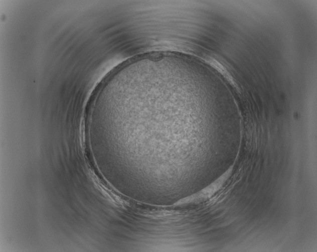 X0000065241076200603031732