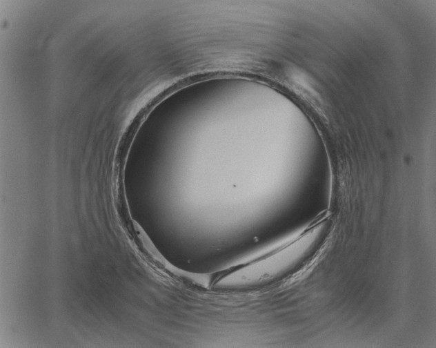 X0000065241077200603031732