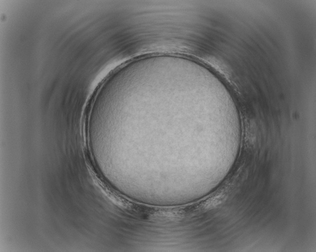 X0000065241078200603031732