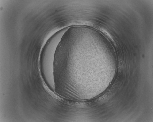 X0000065241080200603031732