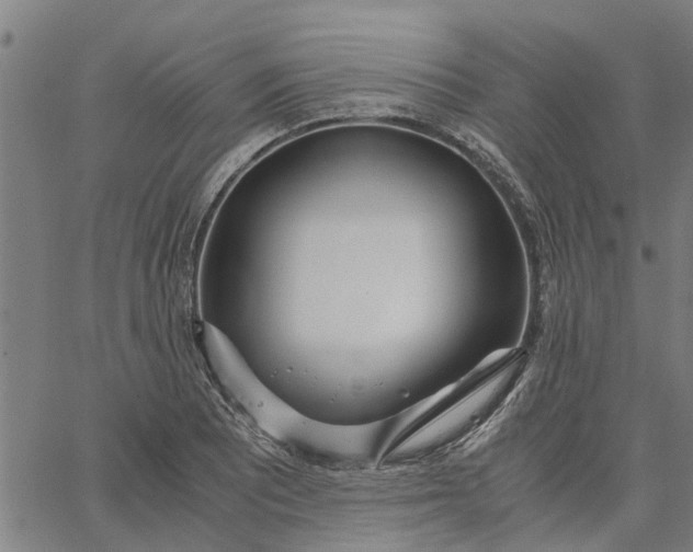 X0000065241081200603031732