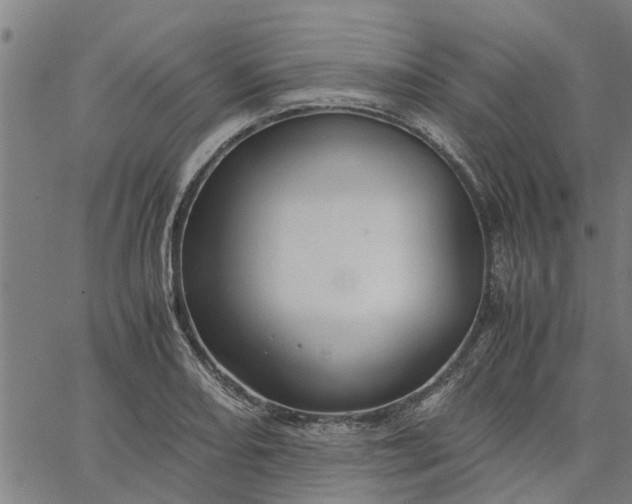 X0000065241082200603031732