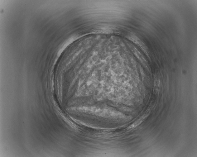 X0000065241083200603031732