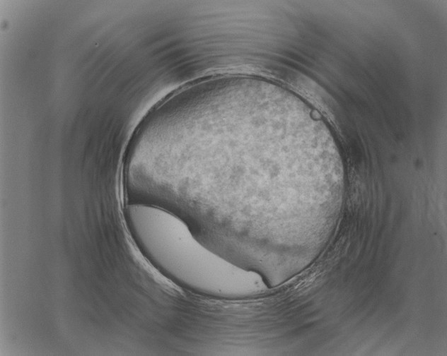 X0000065241084200603031732