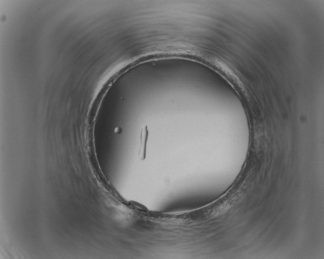 X0000065241085200603031732