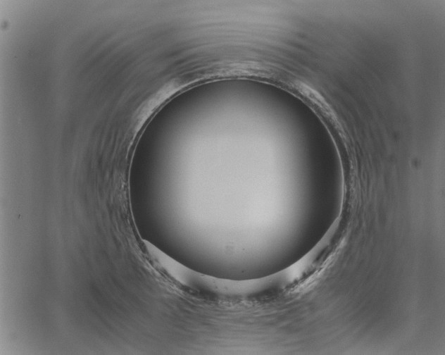 X0000065241089200603031732