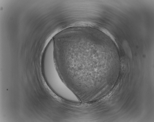 X0000065241091200603031732