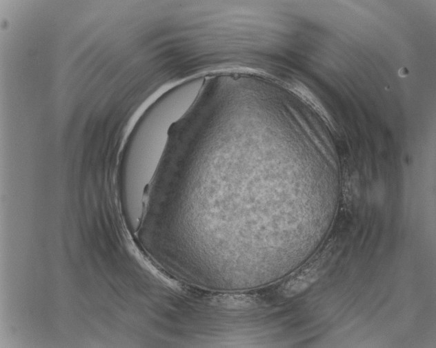 X0000065241092200603031732