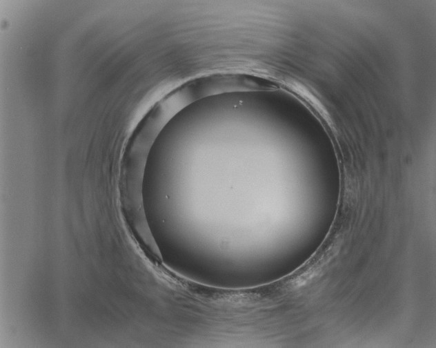 X0000065241093200603031732