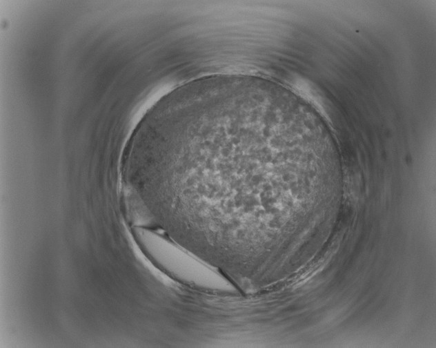 X0000065241095200603031732