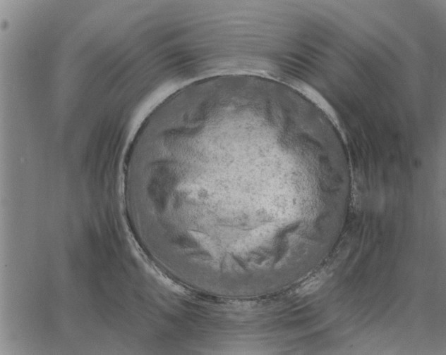 X0000065241096200603031732