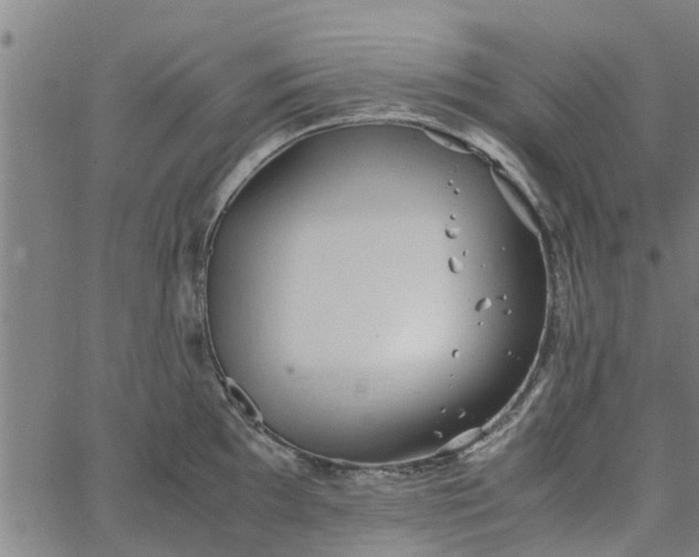 X0000065241097200603031732