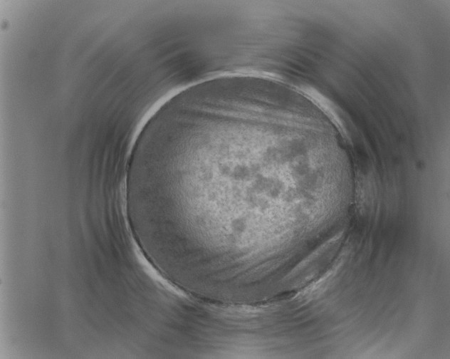 X0000065241100200603031732