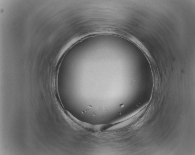 X0000065241101200603031732