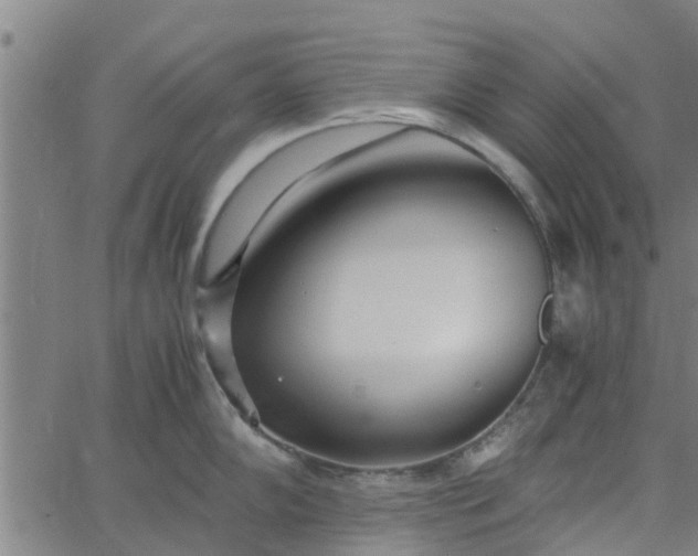 X0000065241102200603031732