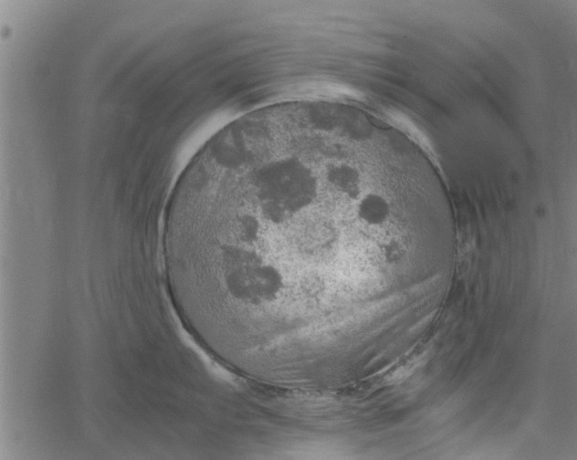 X0000065241103200603031732