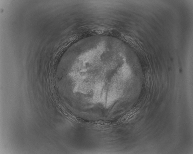 X0000065241105200603031731