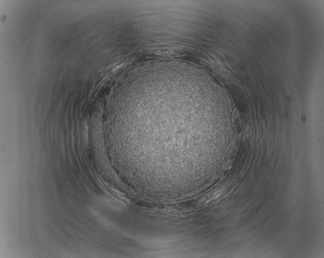 X0000065241106200603031731