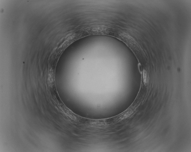 X0000065241107200603031731