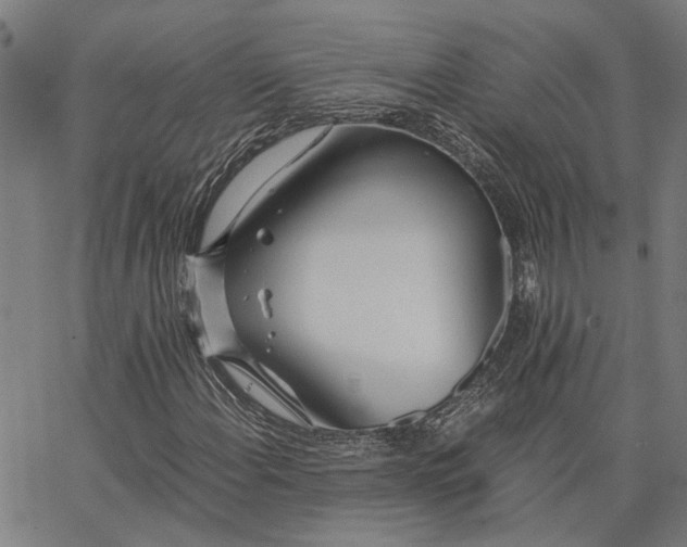 X0000065241108200603031731