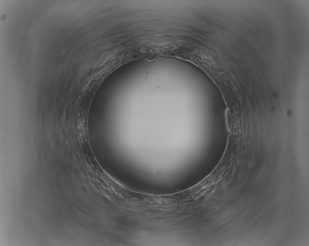 X0000065241109200603031731