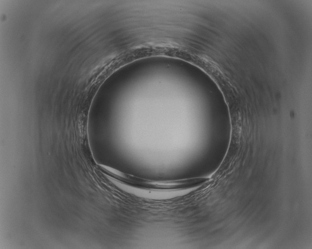 X0000065241110200603031731