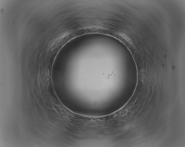 X0000065241111200603031731