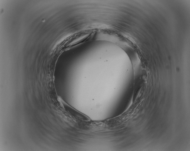 X0000065241112200603031731