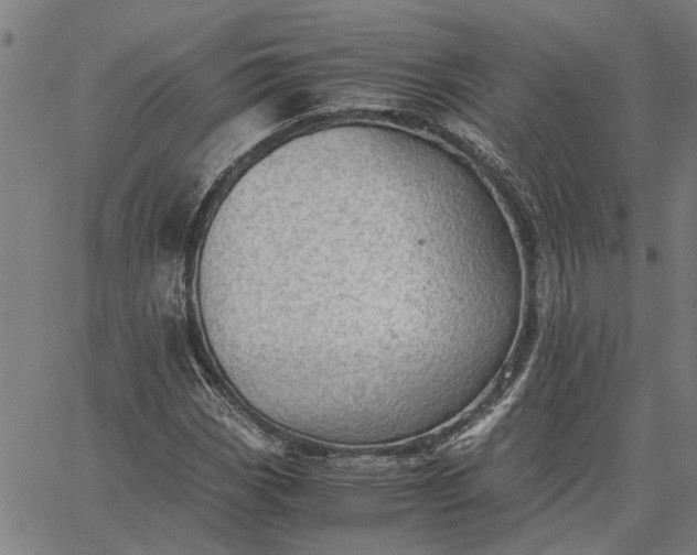 X0000065241113200603031731