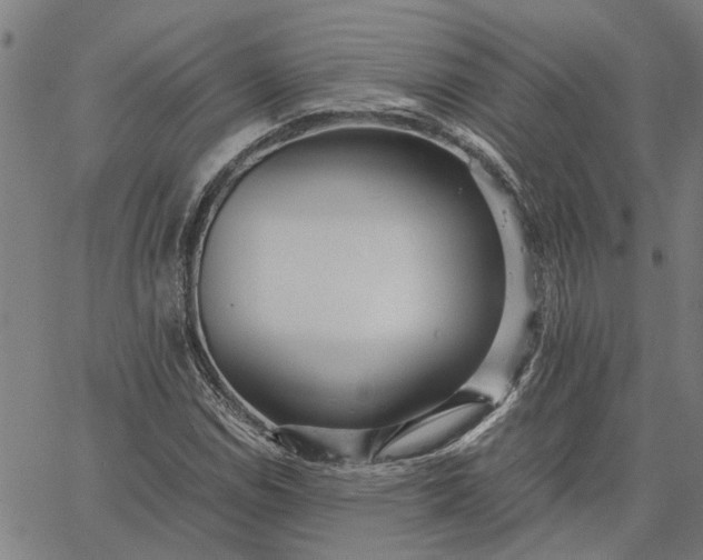 X0000065241114200603031731