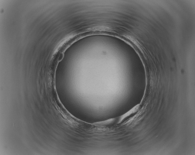 X0000065241115200603031731