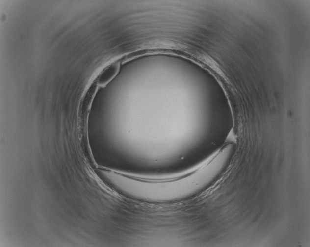 X0000065241116200603031731