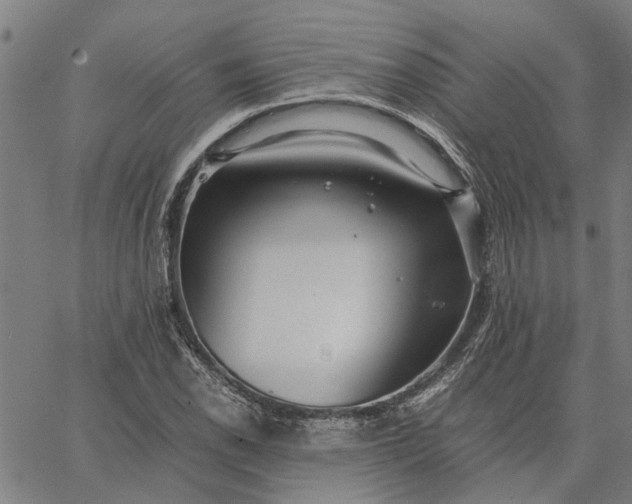 X0000065241118200603031731