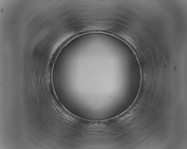 X0000065241119200603031731