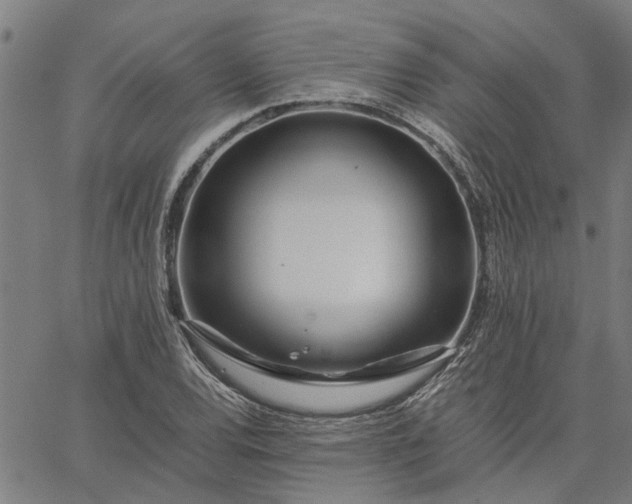 X0000065241120200603031731