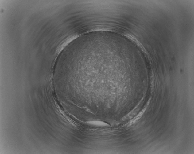 X0000065241121200603031731