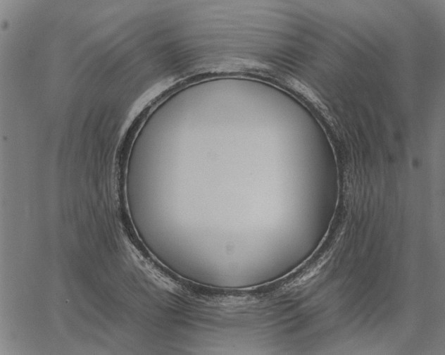 X0000065241122200603031731